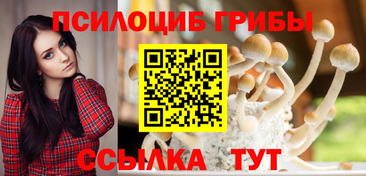 Галлюциногенные грибы прущие грибы  Псилоцибиновые грибы Psilocybine cubensis  Сергиев Посад  Вход с VPN 