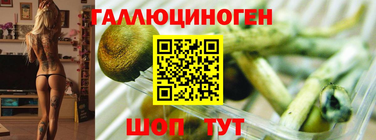 Галлюциногенные грибы GOLDEN TEACHER Сергиев Посад